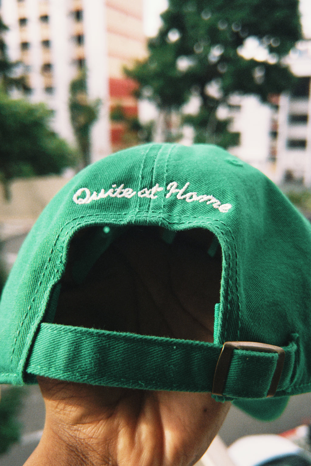 Forgetful & Fruitful Cap: Green